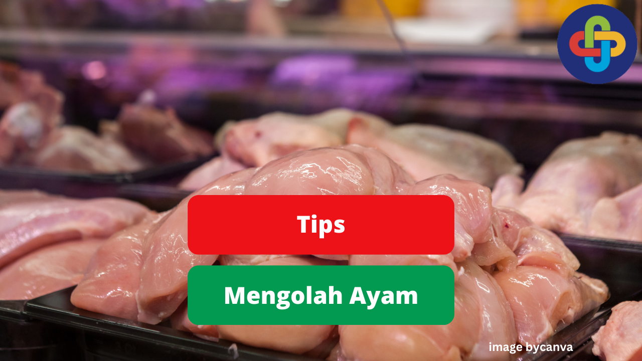 Cara Aman Mengolah Ayam